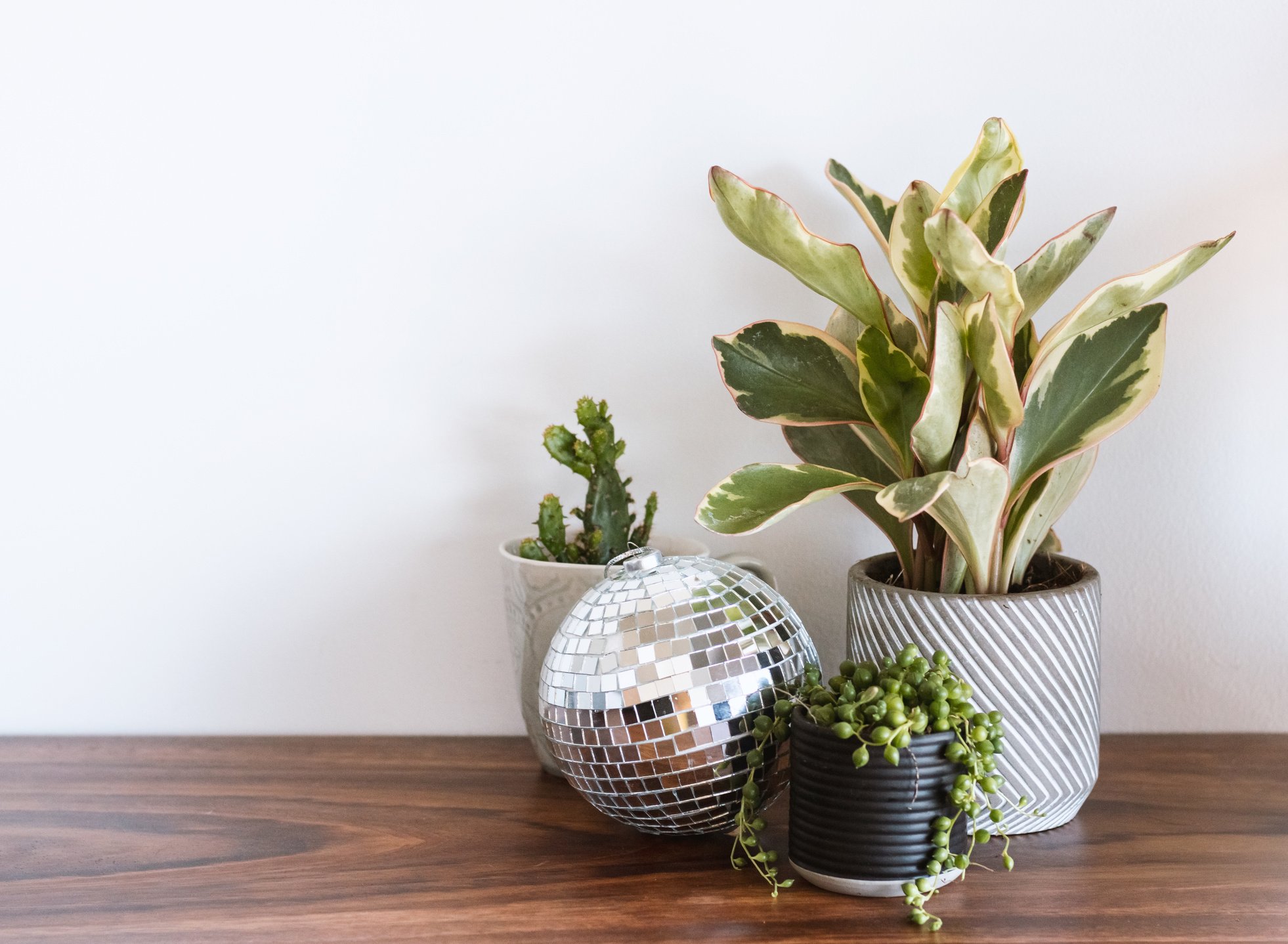 plants decoration boho interior